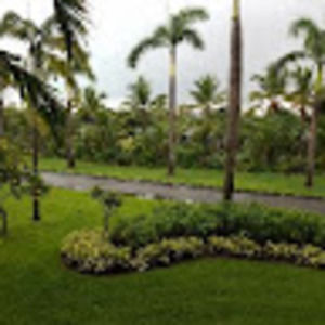 Meet your Posher, Dion